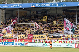 Circa 1.500 Schwarz-Gelbe begleiteten die SGD nach Sandhausen. (Foto: Steffen Kuttner)