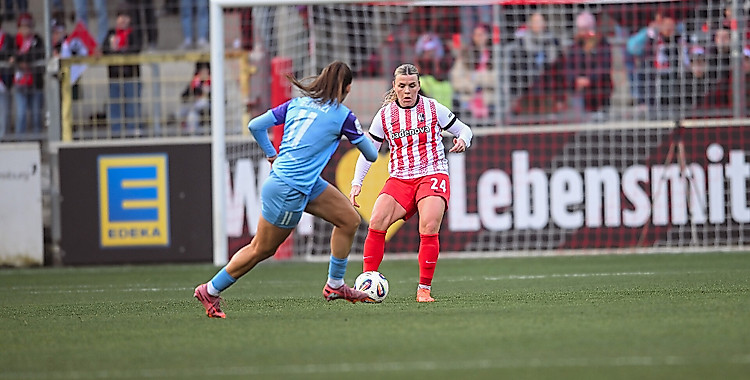 [Bild: aHR0cHM6Ly93d3cuc2NmcmVpYnVyZy5jb20vZmls...ZW4uanBlZw]