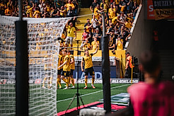 Jubeltraube von Dynamo Dresden Spielern