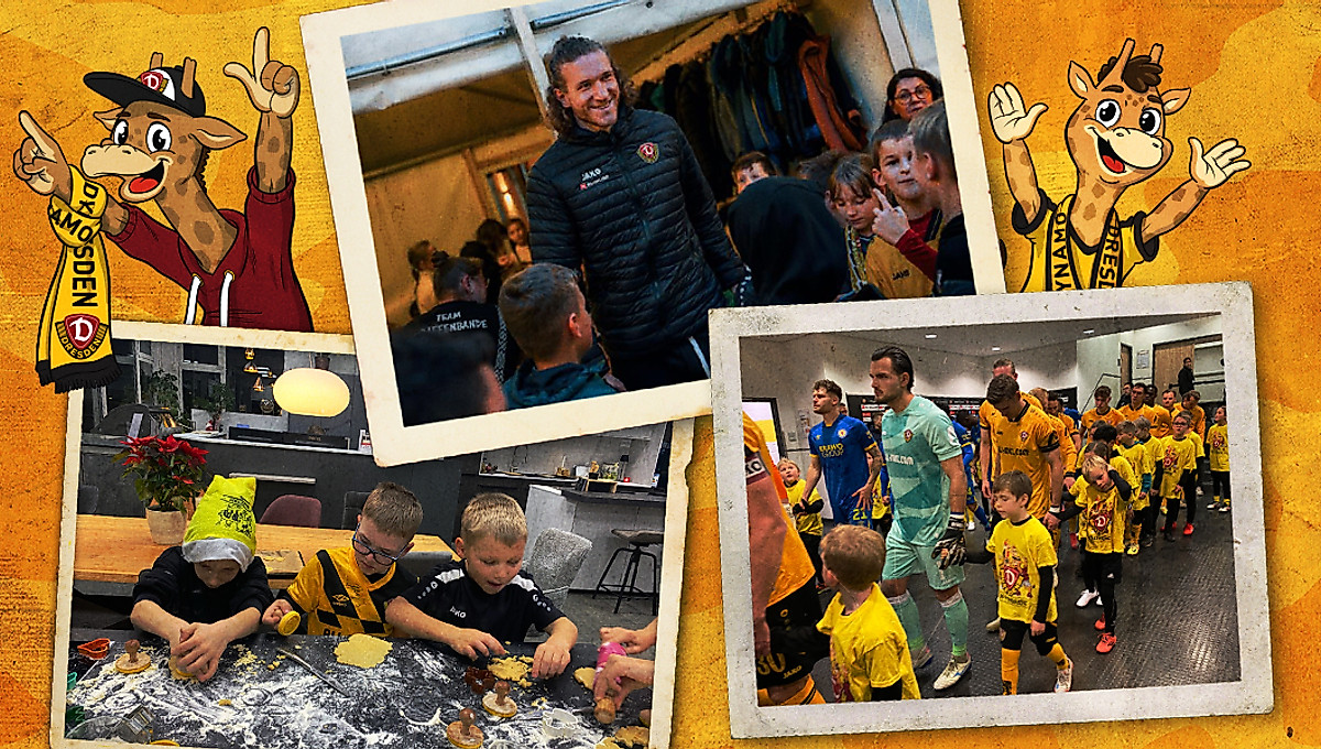 Eine Grafik mit verschiedenen Bildern von Veranstaltungen der Giraffenbande.