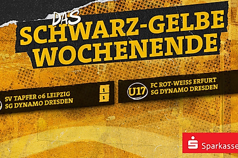 Eine Ergebnisübersicht der Spiele von Dynamos U21 und U17 vom Wochenende 15.-16.11.