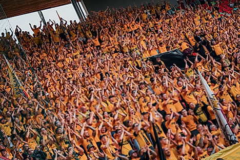 Fans der SG Dynamo Dresden beim Klatschen.