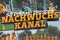 Grafik mit der Aufschrift Dynamo Dresden Nachwuchs Kanal.