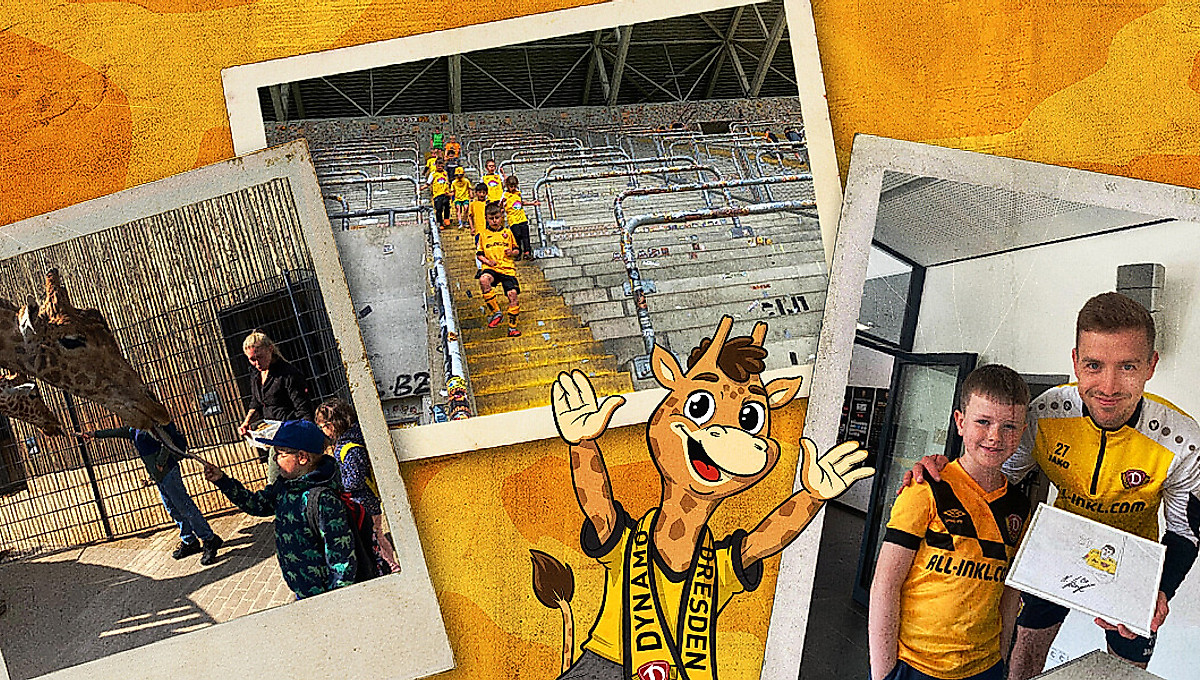 Collage aus drei Bildern der Goraffenbande