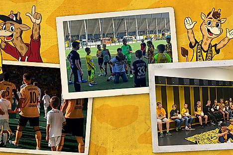 Drei Bilder von den Veranstaltungen der Giraffenbande im August 2025. Zusätzlich zwei Comic-Giraffen im Bild.