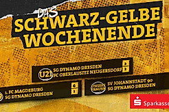 Eine Ergebnisübersicht von Dynamos Frauen sowie den Nachwuchsteams vom Wochenende 06.12.-07.12.2025