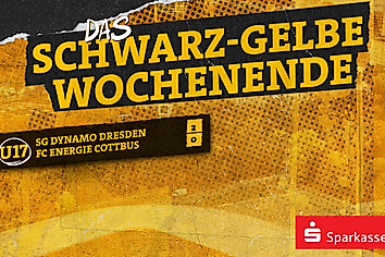 Eine Grafik mit dem Ergebnis der U17 von Dynamo Dresden gegen die U17 von Energie Cottbus (2:0)