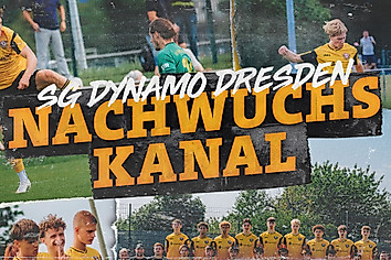 Grafik mit der Aufschrift Dynamo Dresden Nachwuchs Kanal.