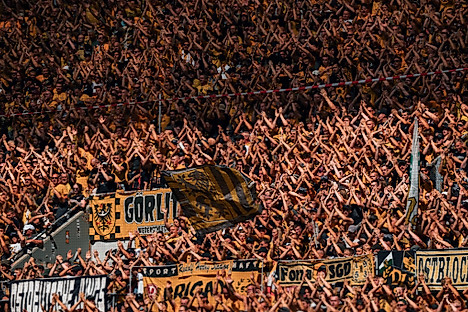 Fans der SG Dynamo Dresden.